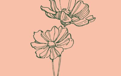 Cómo escribir artículos de blog que hagan crecer a tu negocio